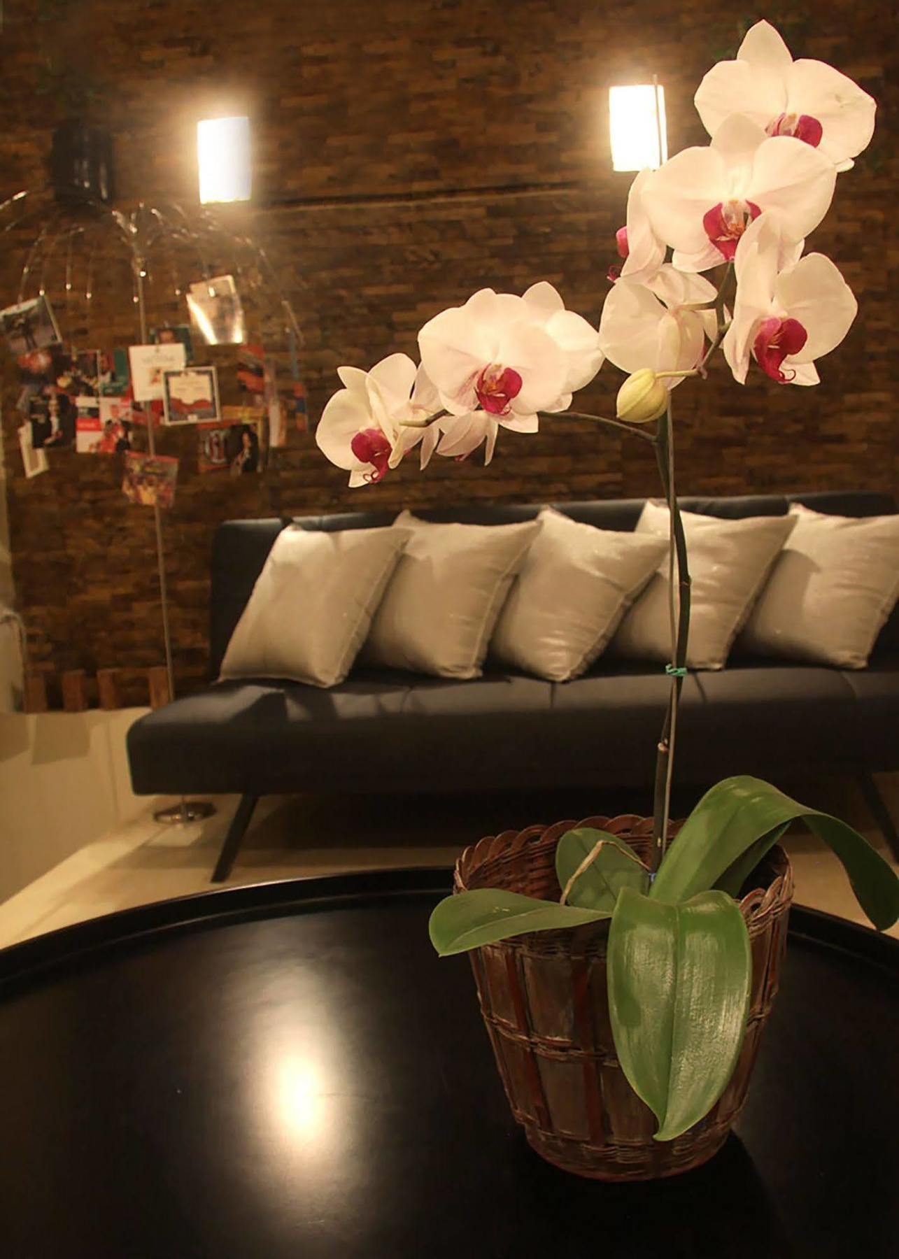 6 Suites Hotel Bogota Buitenkant foto